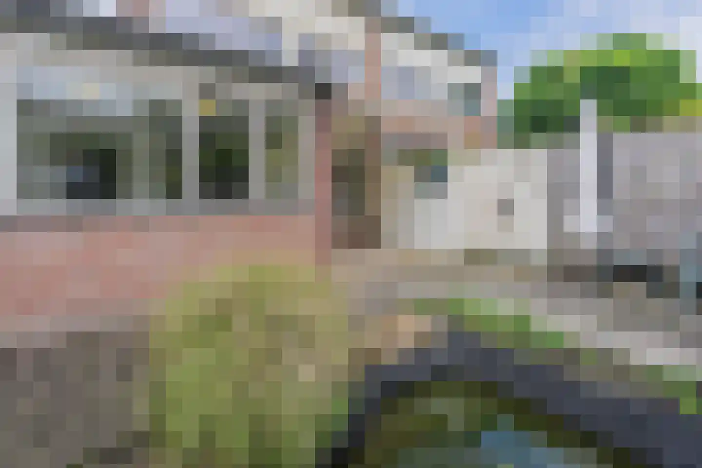 Dongestraat 74 Oost-Souburg thumbnail 53