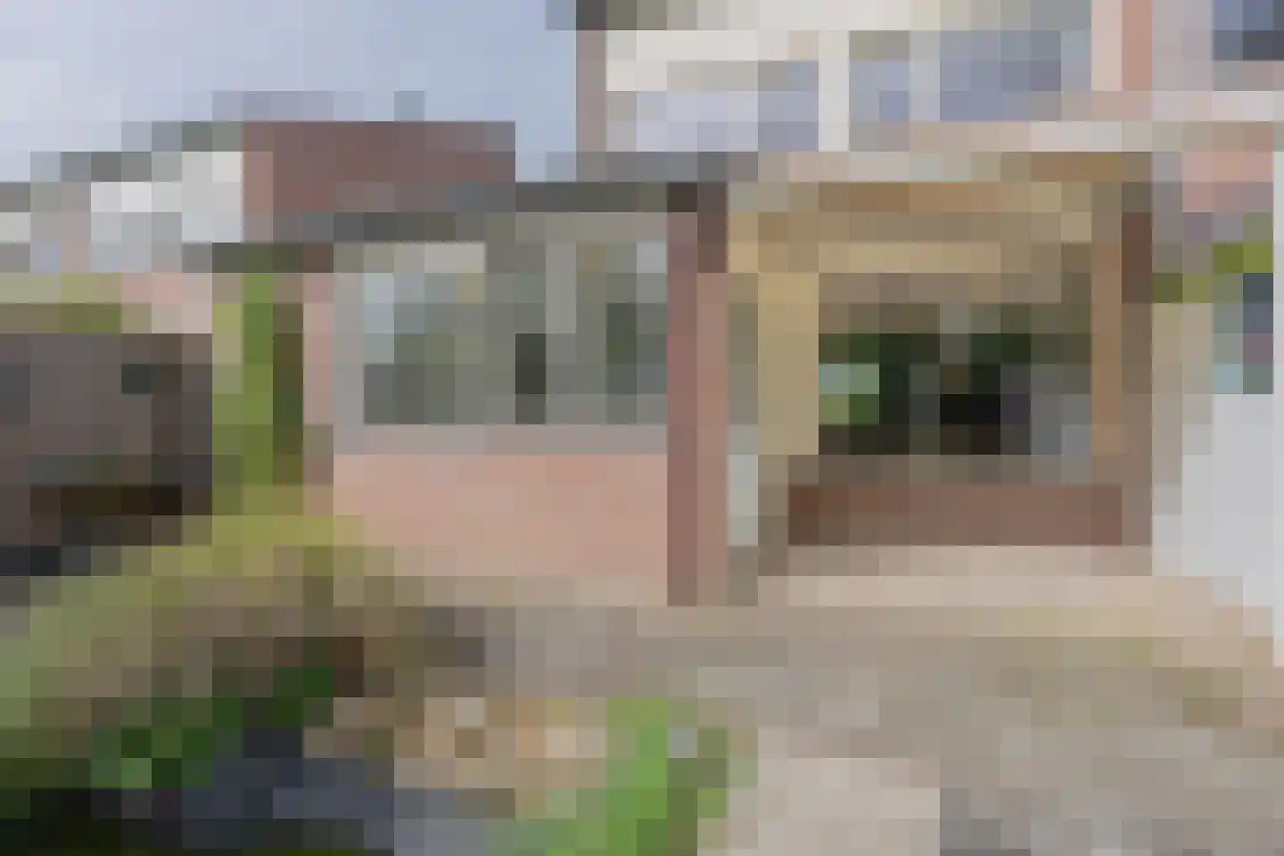 Dongestraat 74 Oost-Souburg thumbnail 57