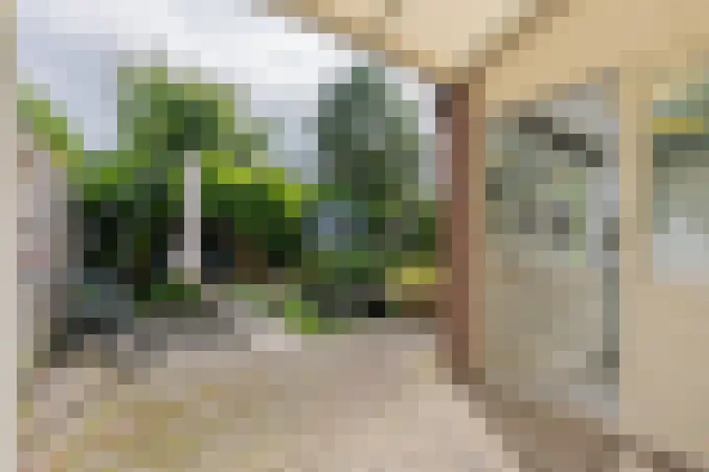 Dongestraat 74 Oost-Souburg thumbnail 58