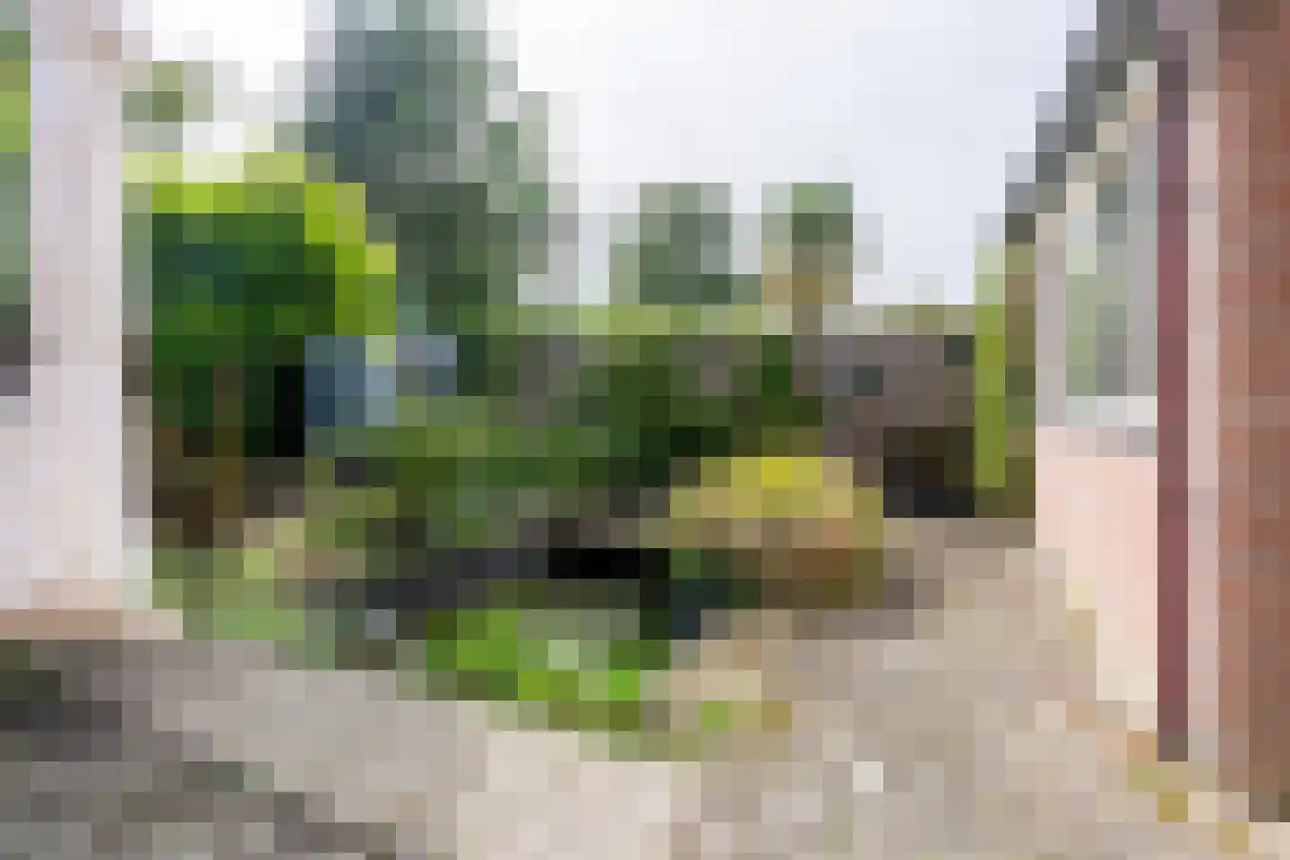 Dongestraat 74 Oost-Souburg thumbnail 59