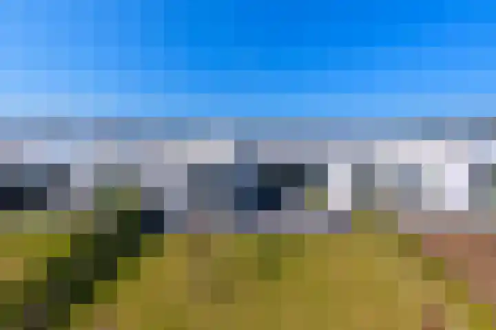 Dongevallei 24 Tilburg thumbnail 13