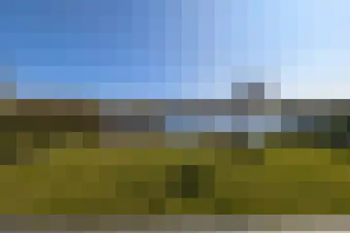 Dongevallei 24 Tilburg thumbnail 19