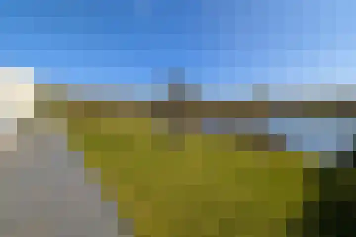 Dongevallei 24 Tilburg thumbnail 22