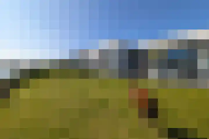 Dongevallei 24 Tilburg thumbnail 23