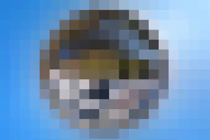 Dongevallei 24 Tilburg thumbnail 28