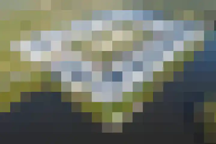 Dongevallei 24 Tilburg thumbnail 33