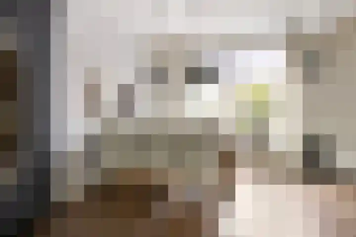 Donia 28 Drachten thumbnail 11