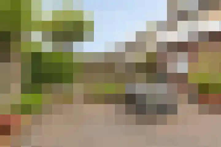Donia 28 Drachten thumbnail 31