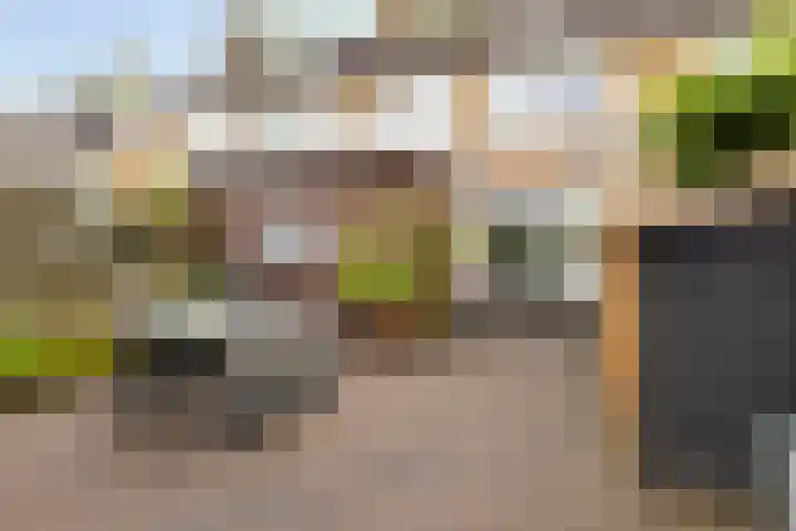 Donia 28 Drachten thumbnail 32