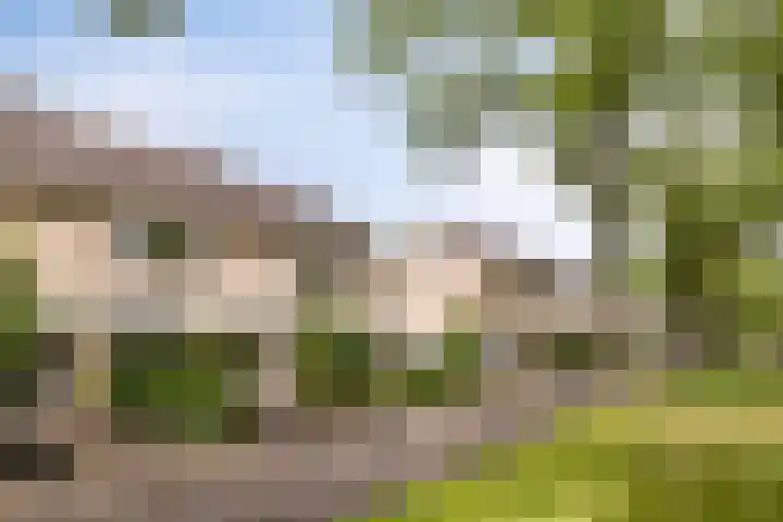 Donia 28 Drachten thumbnail 4