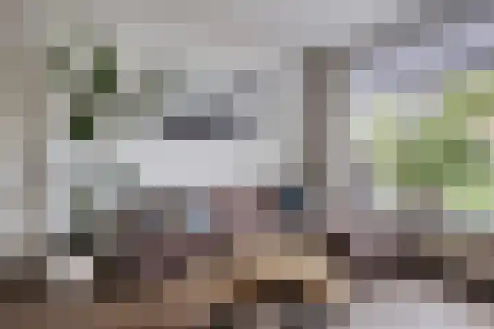 Donia 28 Drachten thumbnail 8