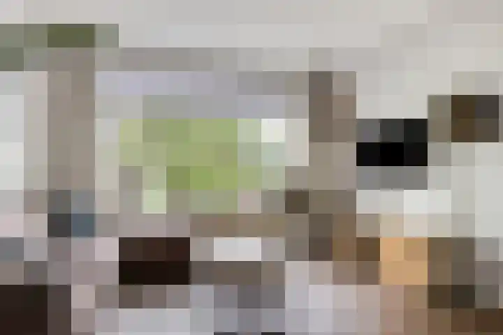 Donia 28 Drachten thumbnail 9