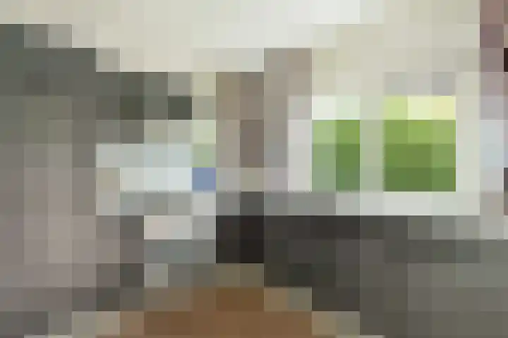 Doniapark 106 Langweer thumbnail 13