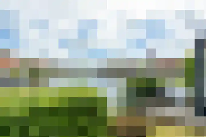 Doniapark 106 Langweer thumbnail 29