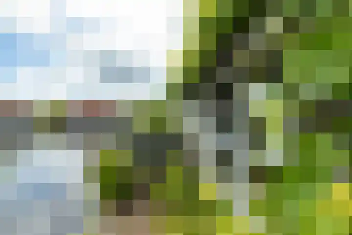 Doniapark 106 Langweer thumbnail 32