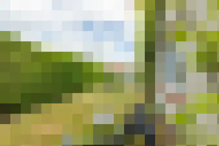 Doniapark 106 Langweer thumbnail 33