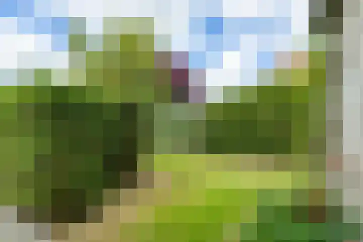 Doniapark 106 Langweer thumbnail 35