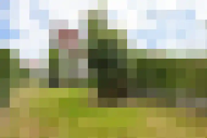 Doniapark 106 Langweer thumbnail 36