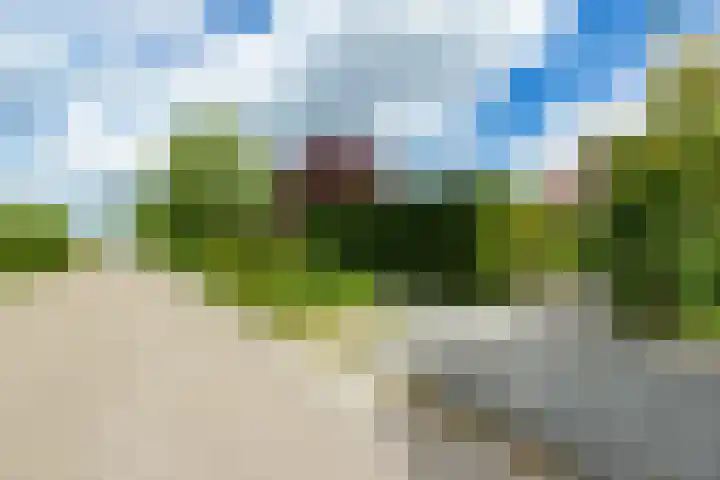 Doniapark 106 Langweer thumbnail 46