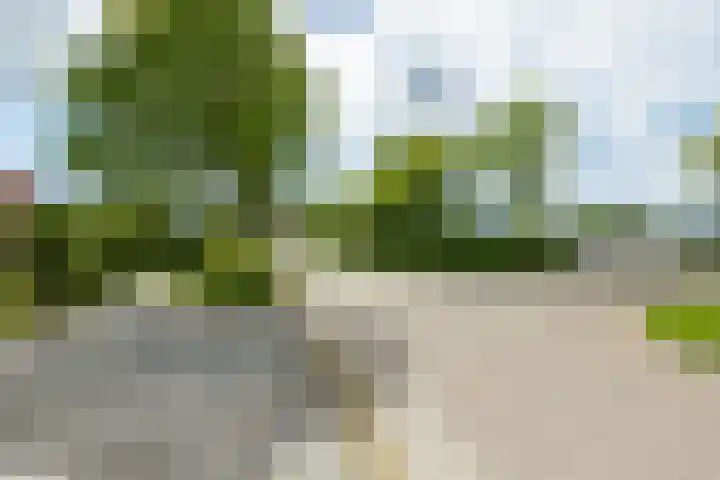 Doniapark 106 Langweer thumbnail 47