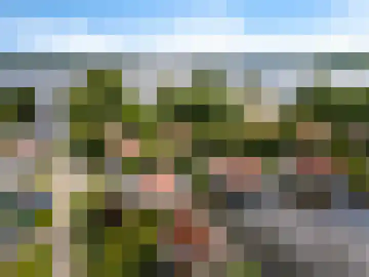 Doniapark 106 Langweer thumbnail 6