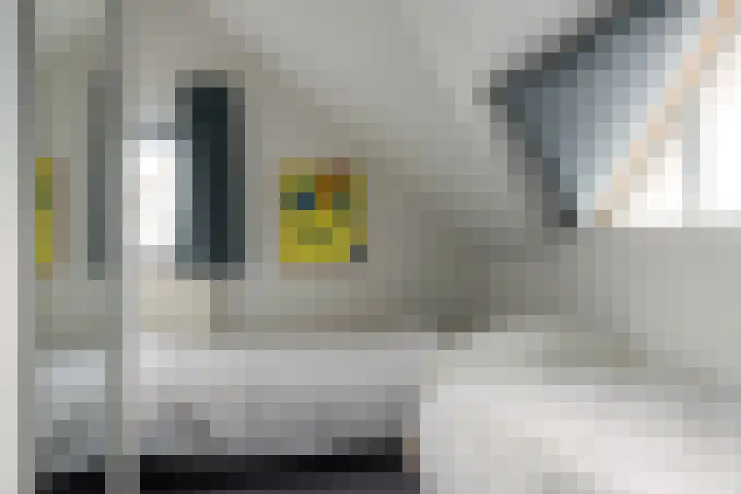 Doniapark 118 RECR Langweer thumbnail 18
