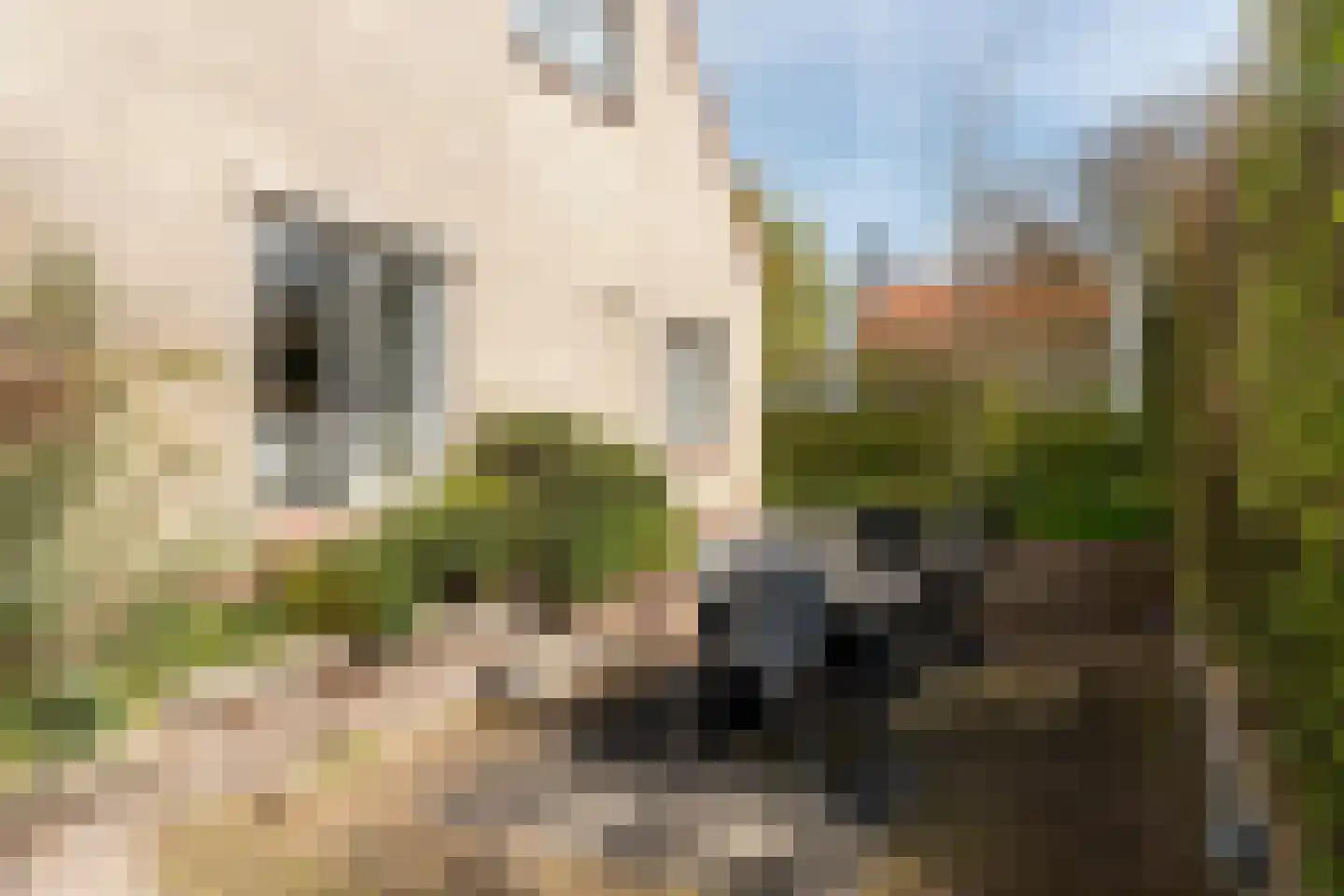 Doniapark 118 RECR Langweer thumbnail 21