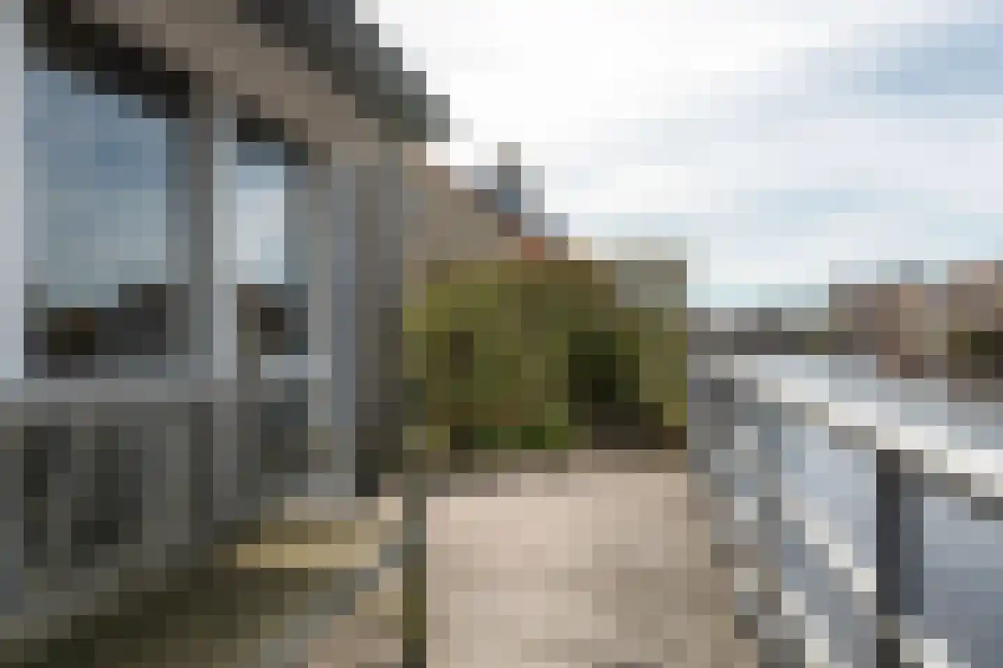Doniapark 118 RECR Langweer thumbnail 23