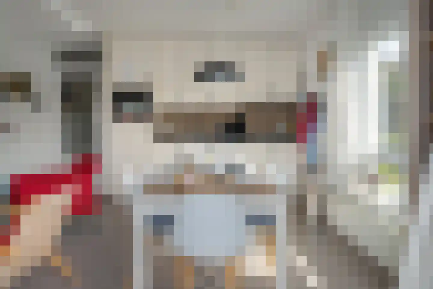 Doniapark 118 RECR Langweer thumbnail 5