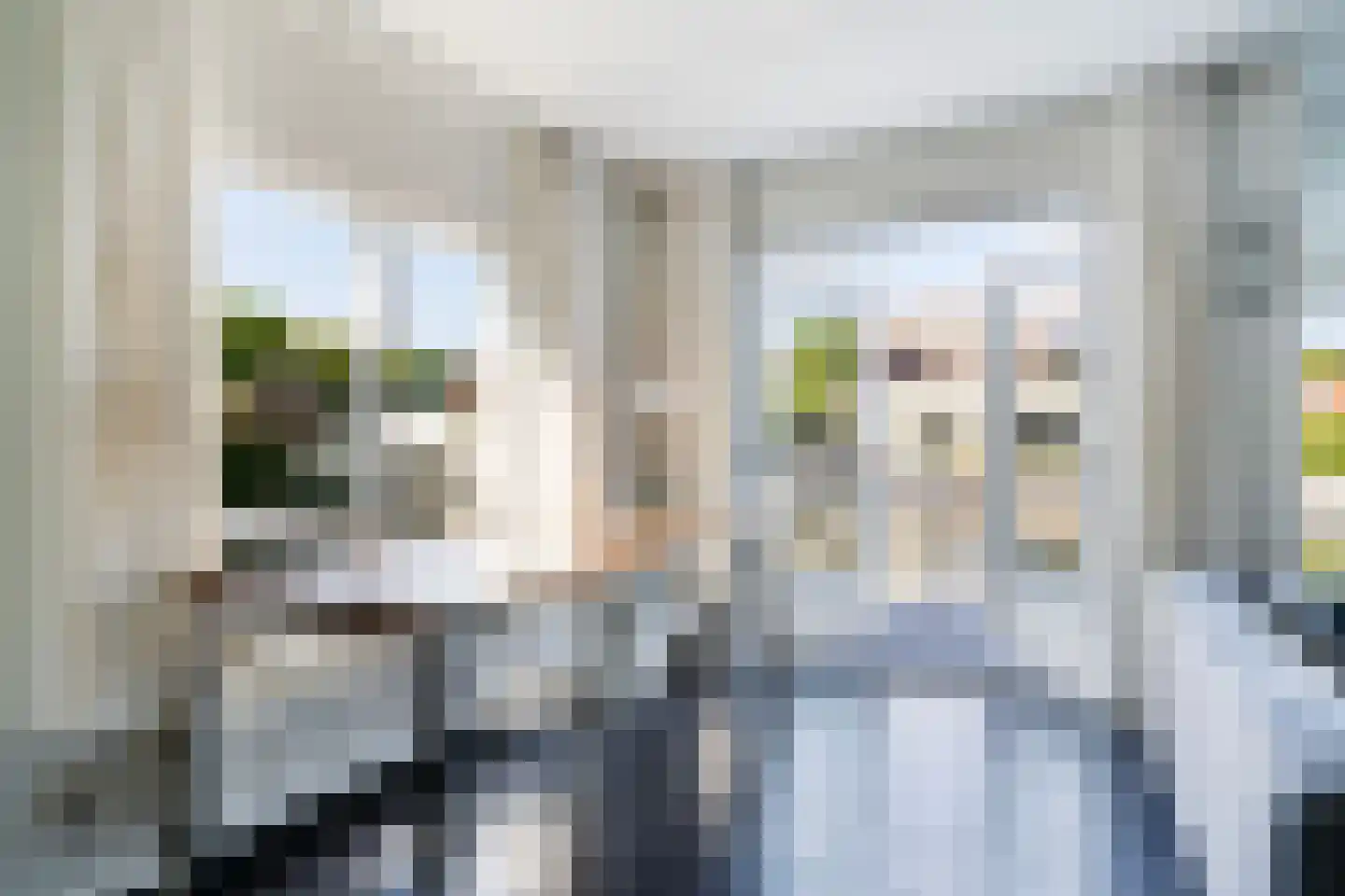 Doniapark 130 RECR Langweer thumbnail 13