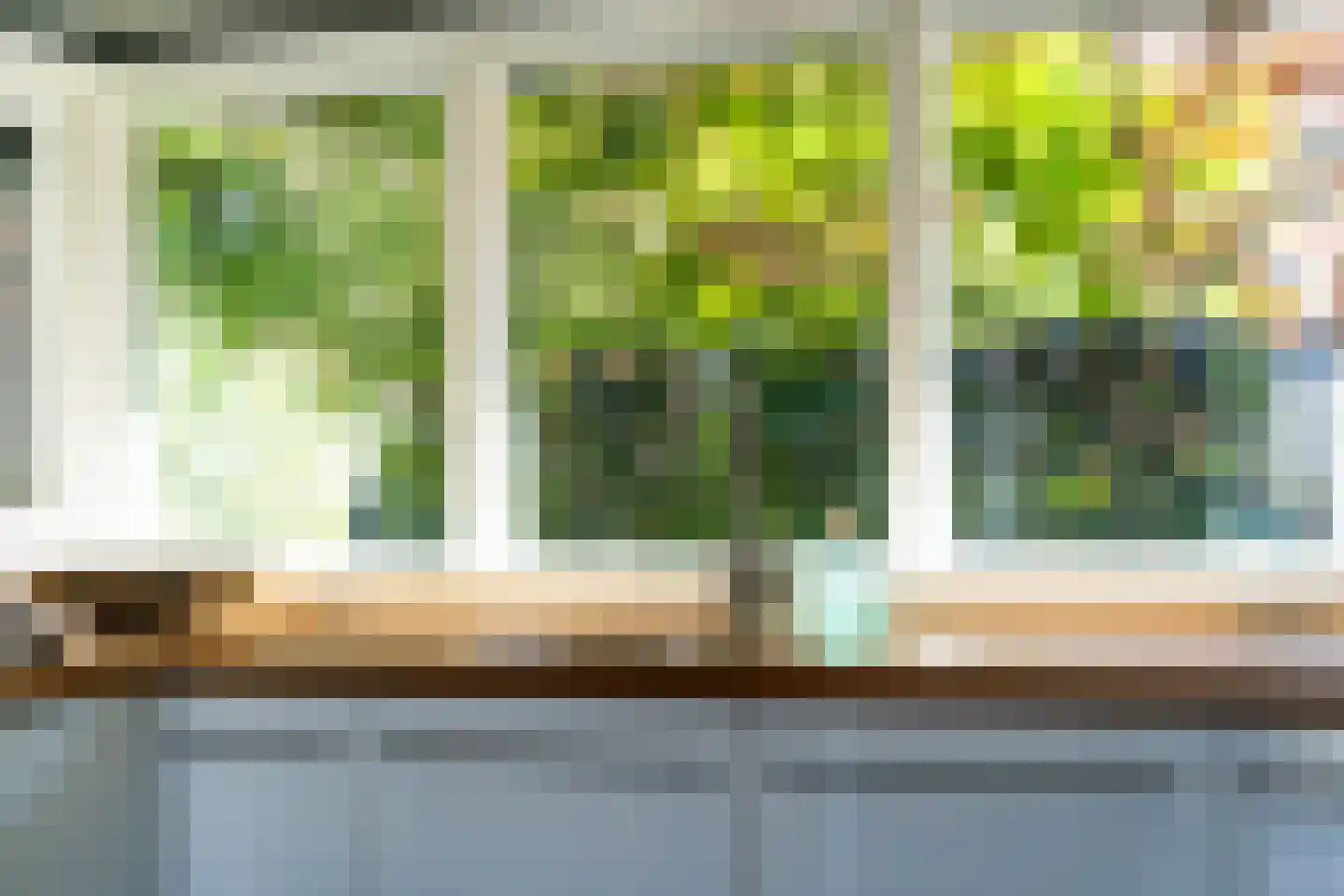 Doniapark 130 RECR Langweer thumbnail 18