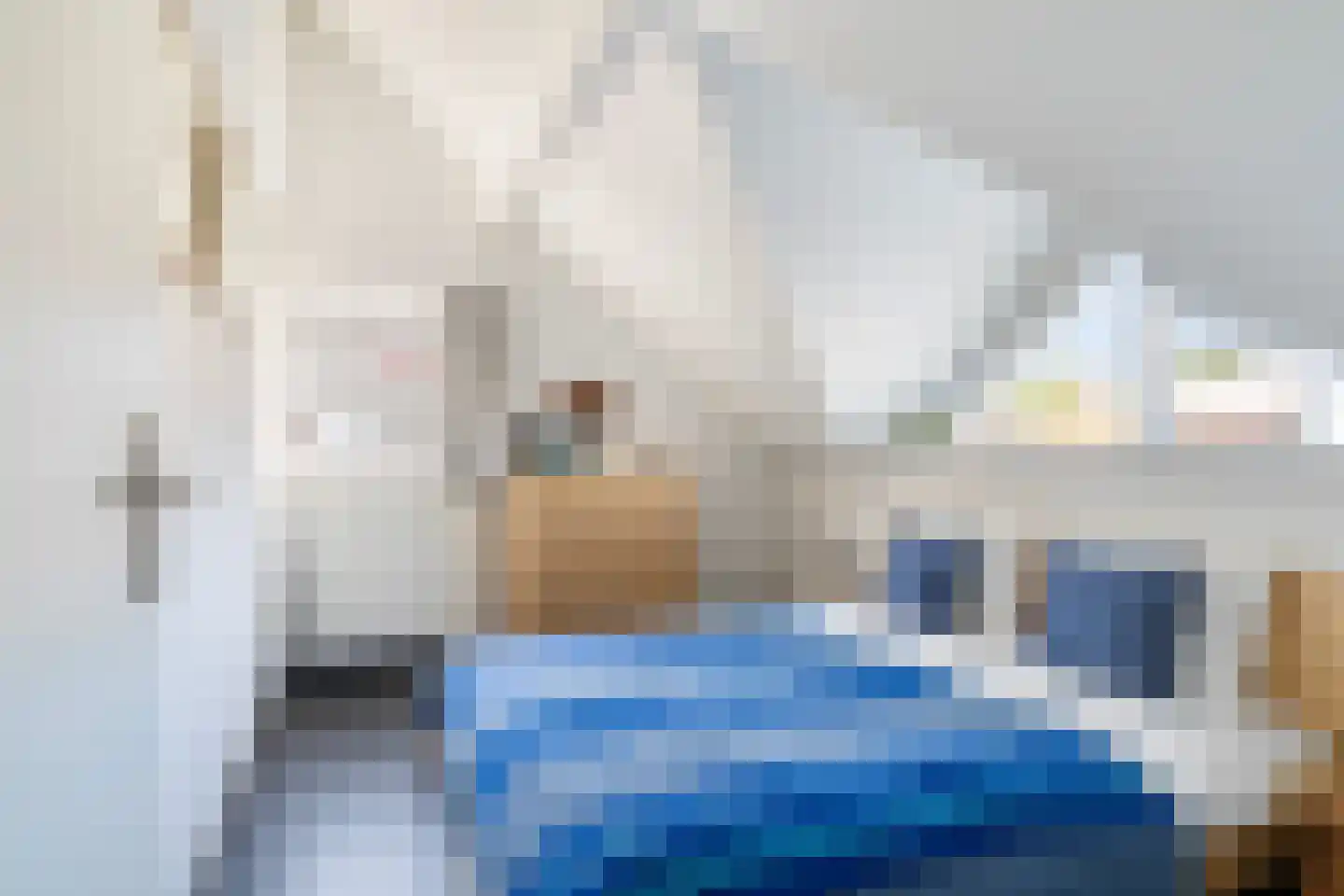 Doniapark 130 RECR Langweer thumbnail 27