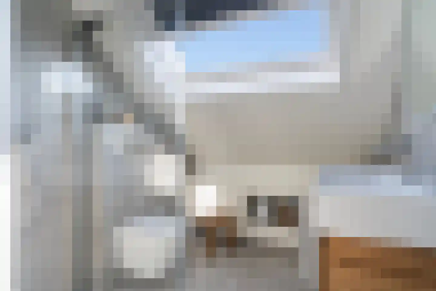 Doniapark 130 RECR Langweer thumbnail 32