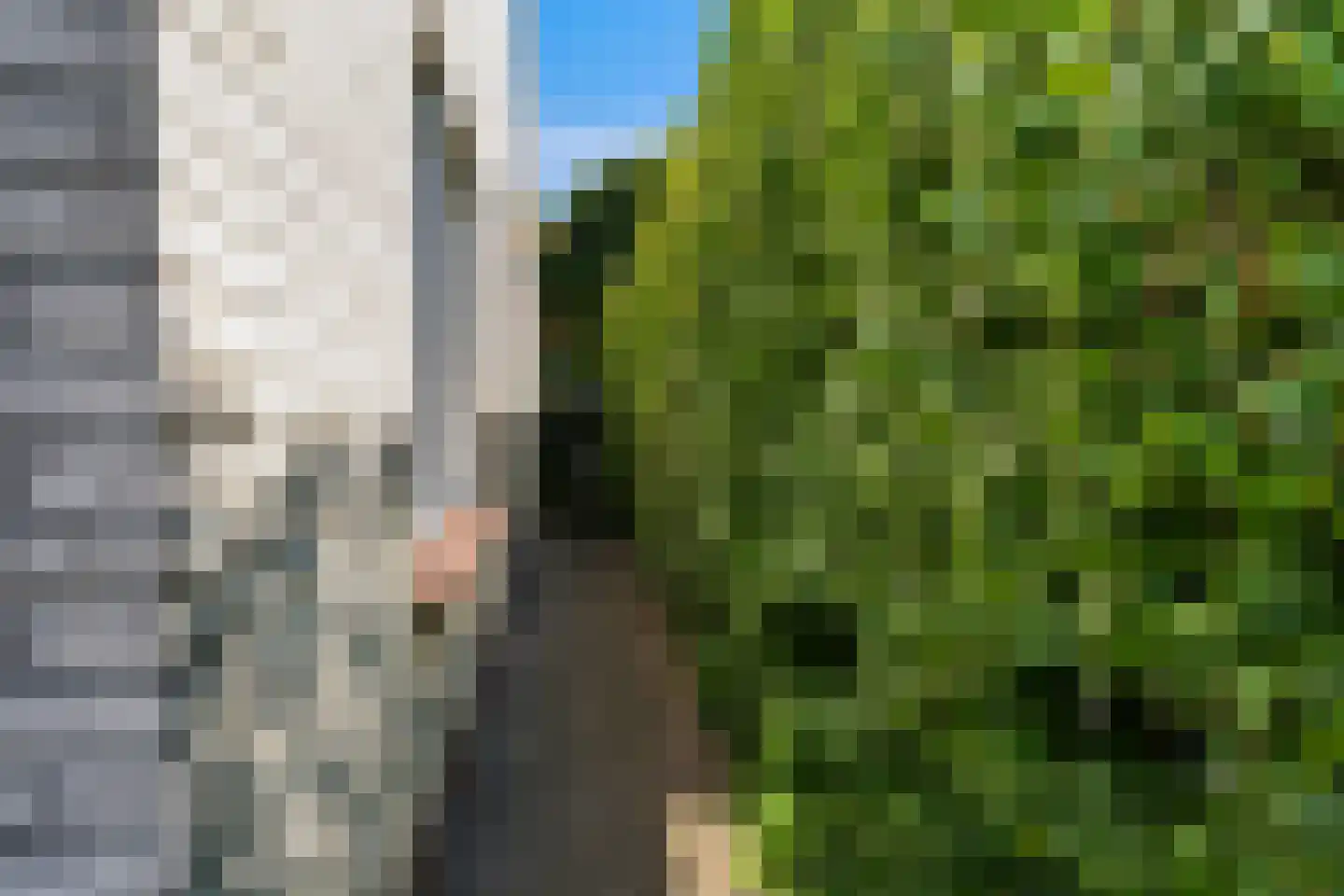 Doniapark 130 RECR Langweer thumbnail 52