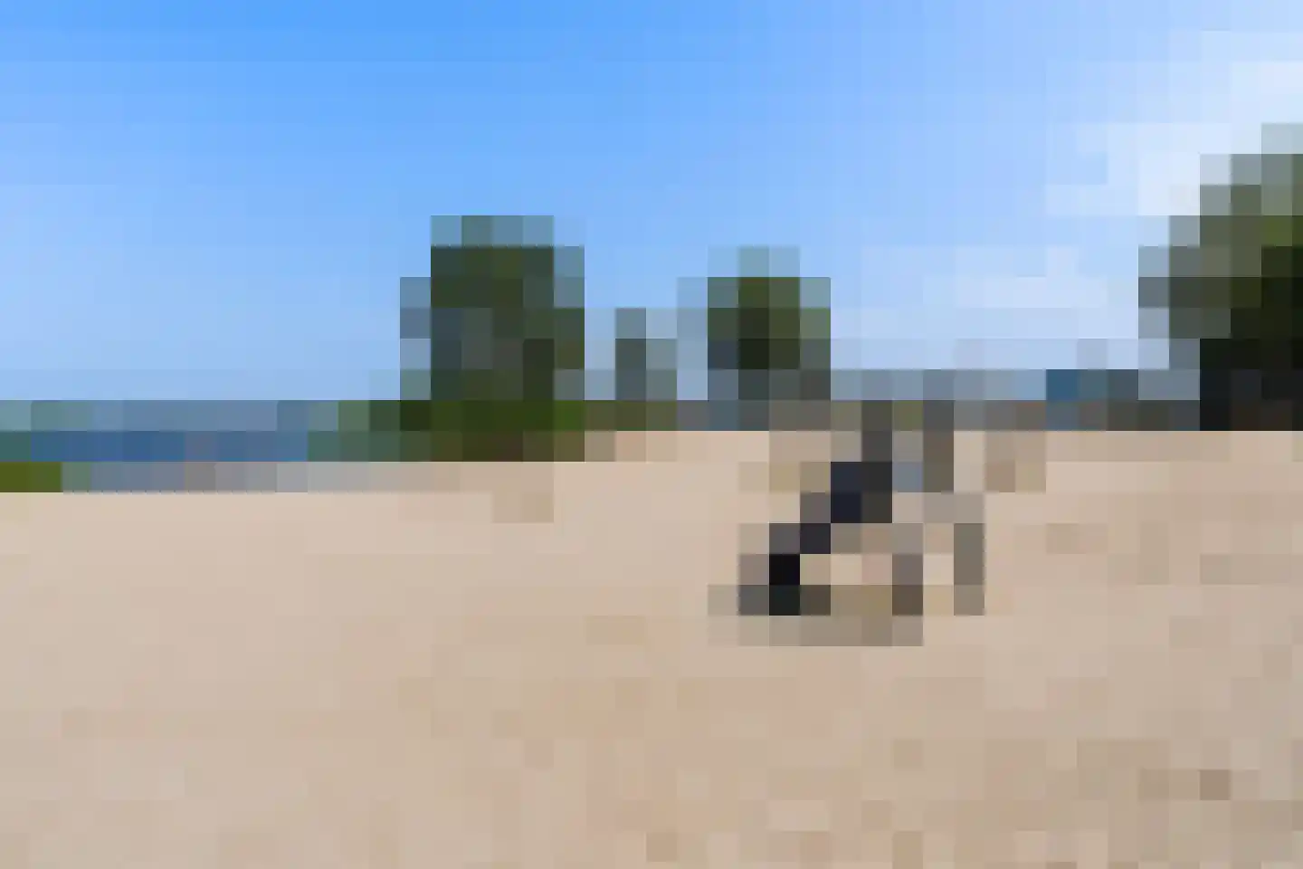 Doniapark 130 RECR Langweer thumbnail 65