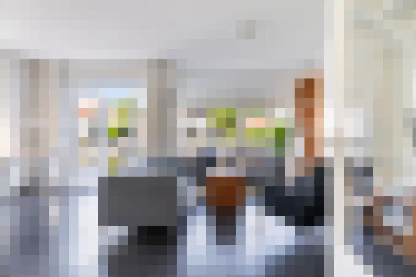 Doniapark 130 RECR Langweer thumbnail 8
