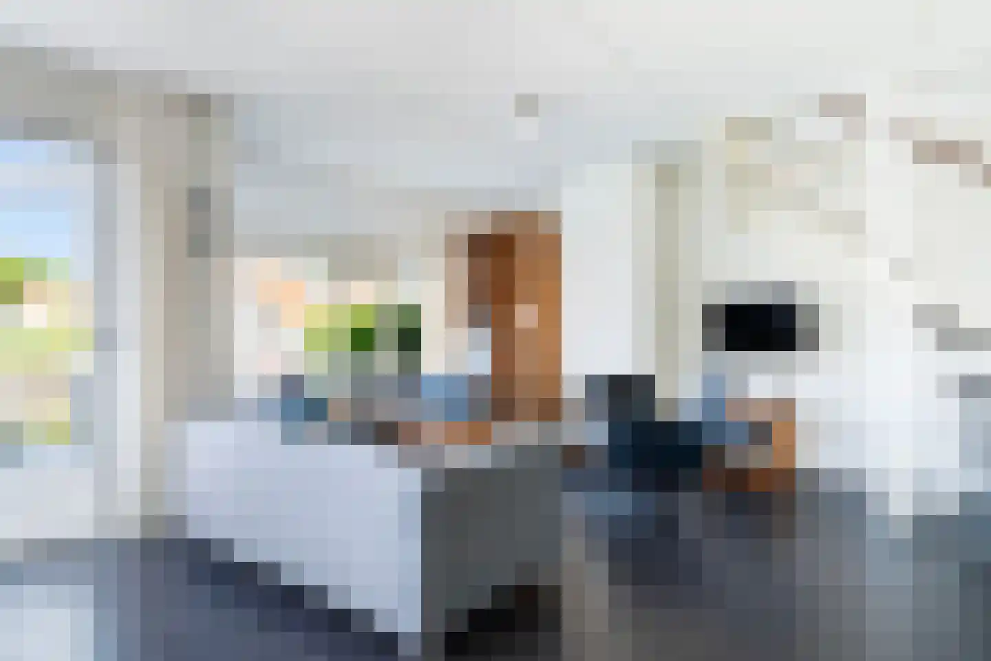 Doniapark 130 RECR Langweer thumbnail 9