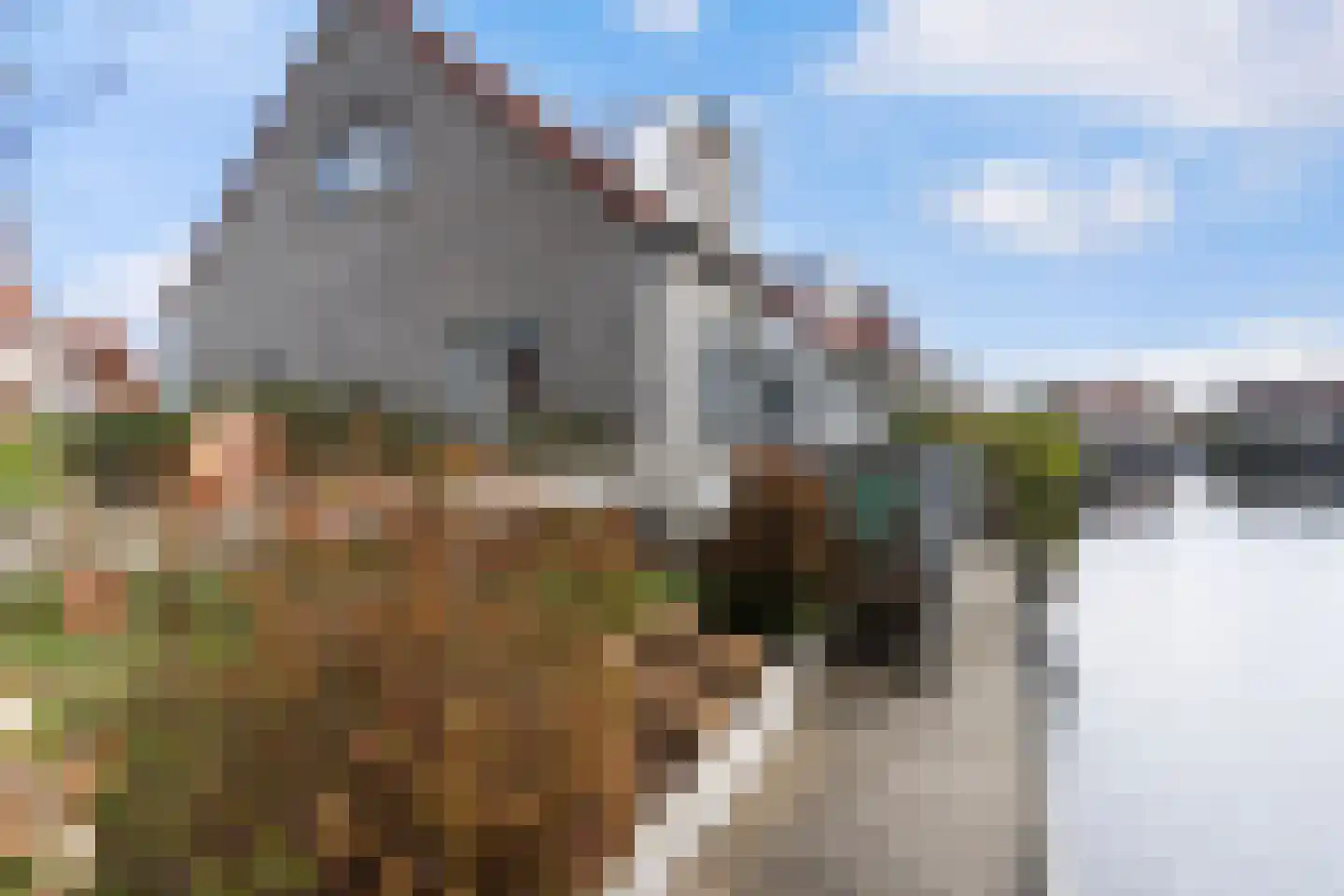 Doniapark 136 Langweer thumbnail 27