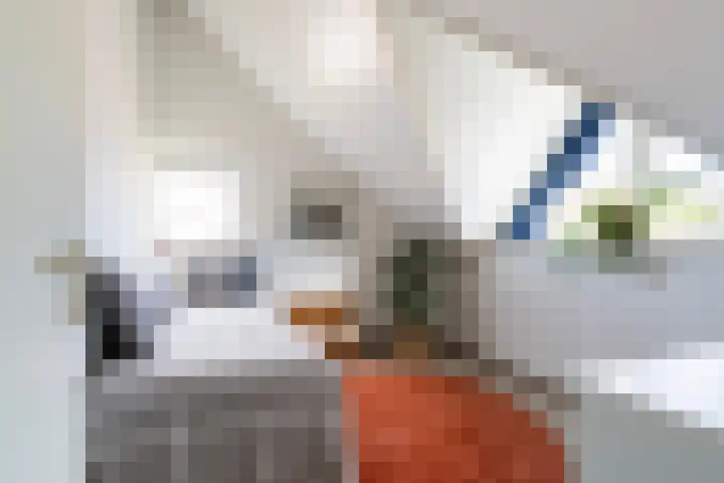 Doniapark 136 Langweer thumbnail 36