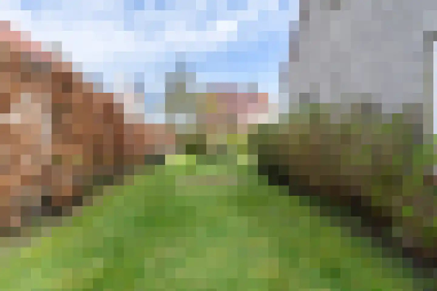 Doniapark 136 Langweer thumbnail 38