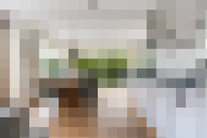 Doniapark 16 Langweer thumbnail 15