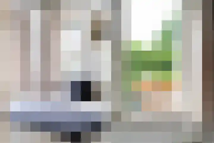 Doniapark 16 Langweer thumbnail 22