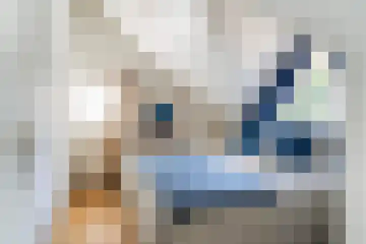 Doniapark 16 Langweer thumbnail 28