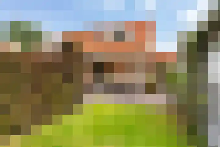 Doniapark 16 Langweer thumbnail 4