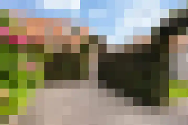 Doniapark 16 Langweer thumbnail 40