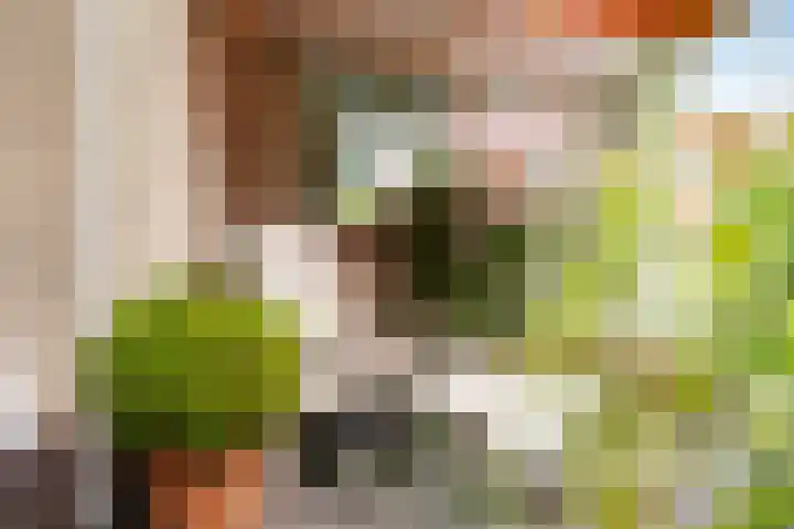 Doniapark 16 Langweer thumbnail 44