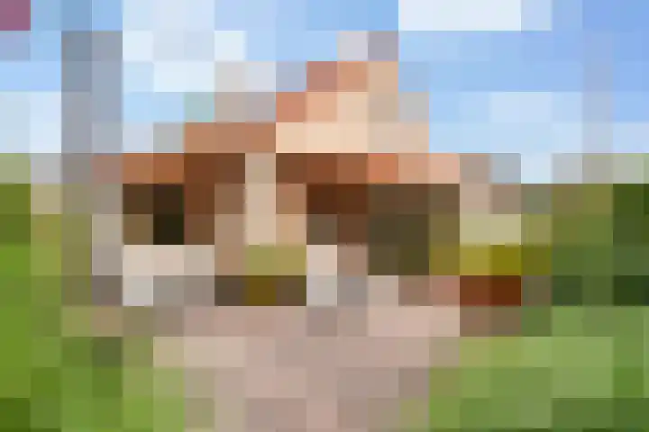 Doniapark 16 Langweer thumbnail 45