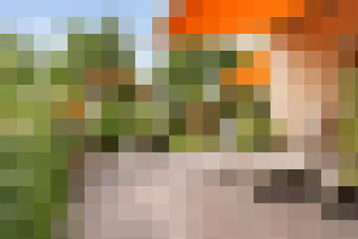 Doniapark 16 Langweer thumbnail 46