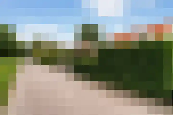 Doniapark 16 Langweer thumbnail 47
