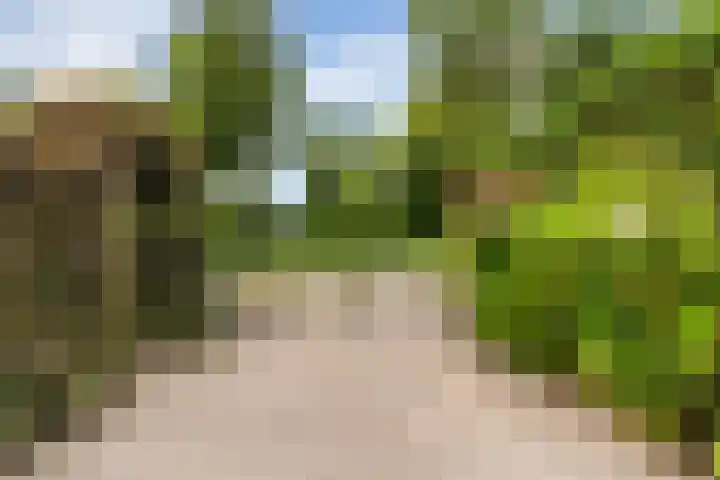 Doniapark 16 Langweer thumbnail 49